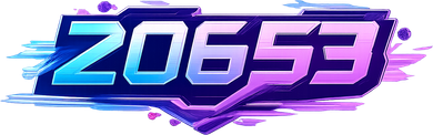 20653